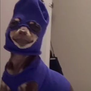 Meet your Posher, Ian